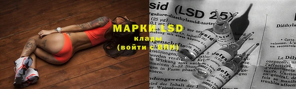 ПСИЛОЦИБИНОВЫЕ ГРИБЫ Белоозёрский